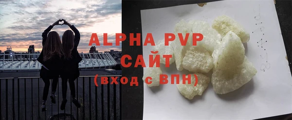 прущие грибы Богородицк
