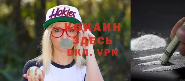 прущие грибы Богородицк
