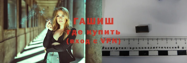 дживик Бородино