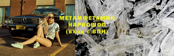 прущие грибы Богородицк