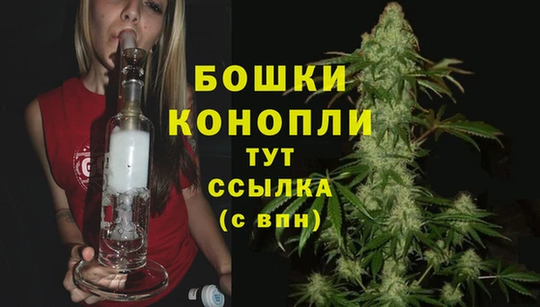 прущие грибы Богородицк