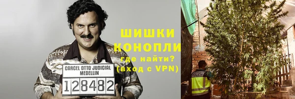 PSILOCYBIN Бугульма
