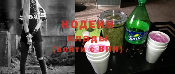 дживик Бородино